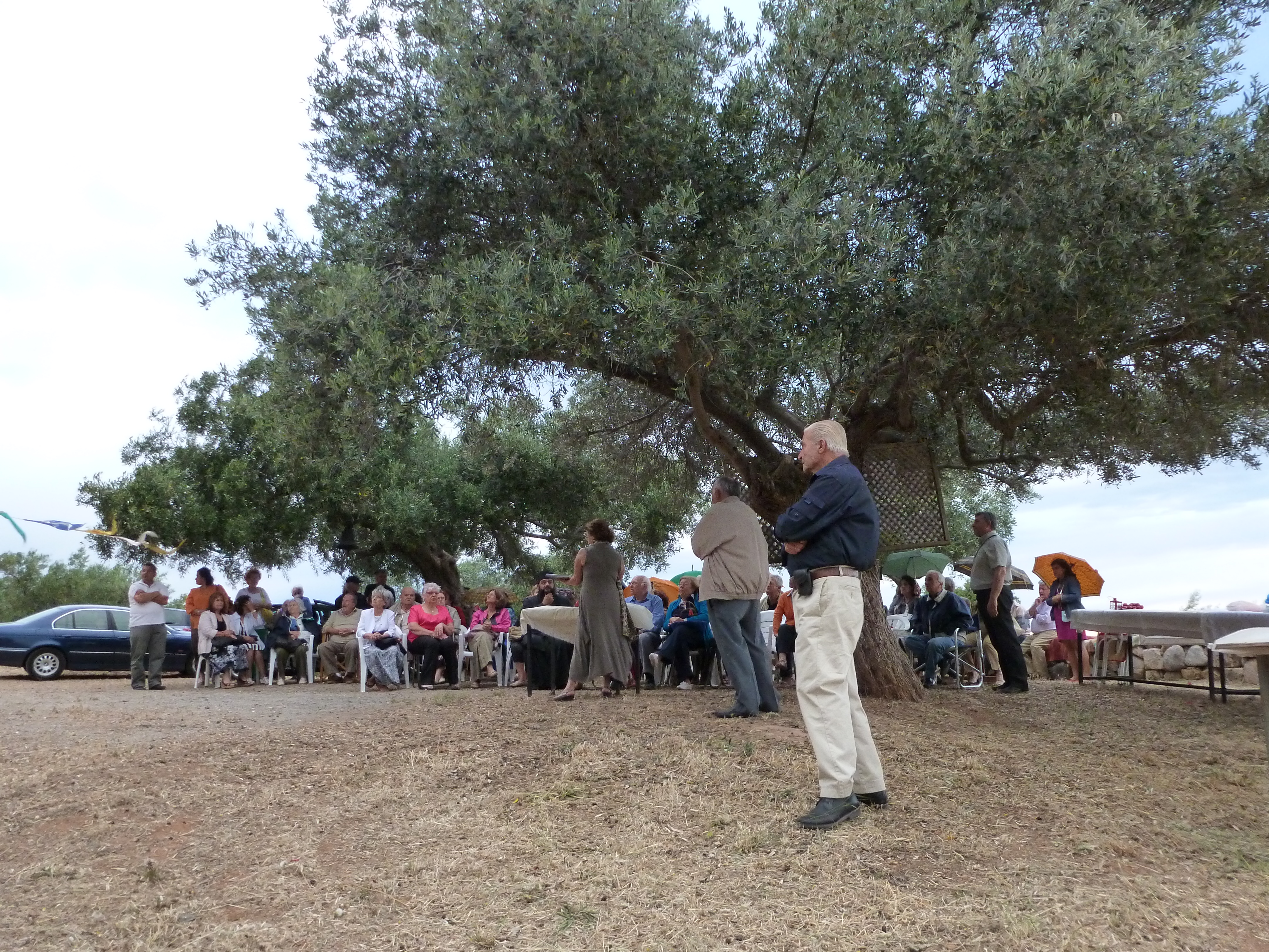 P1000580