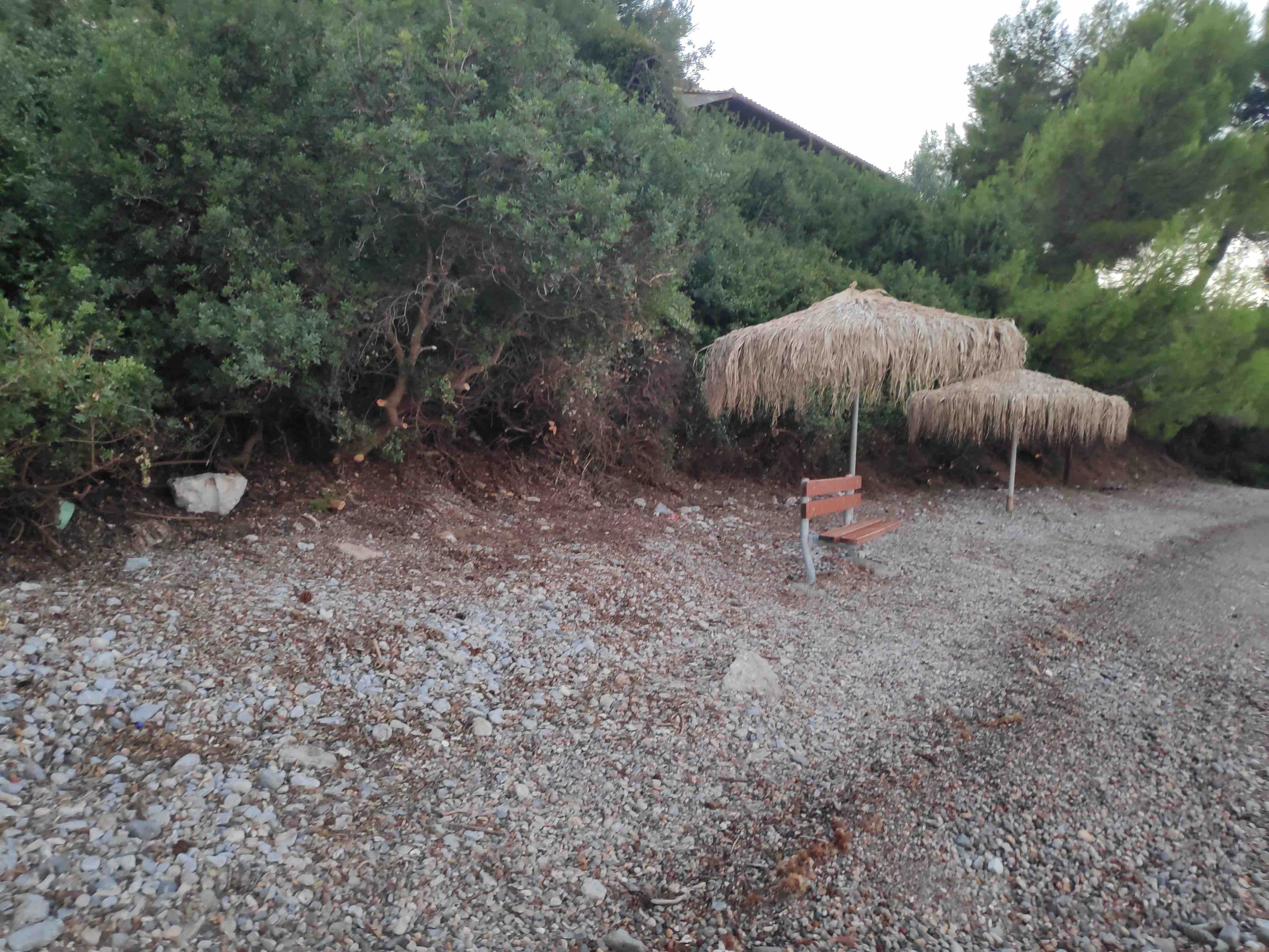 IMG 20200831 195954