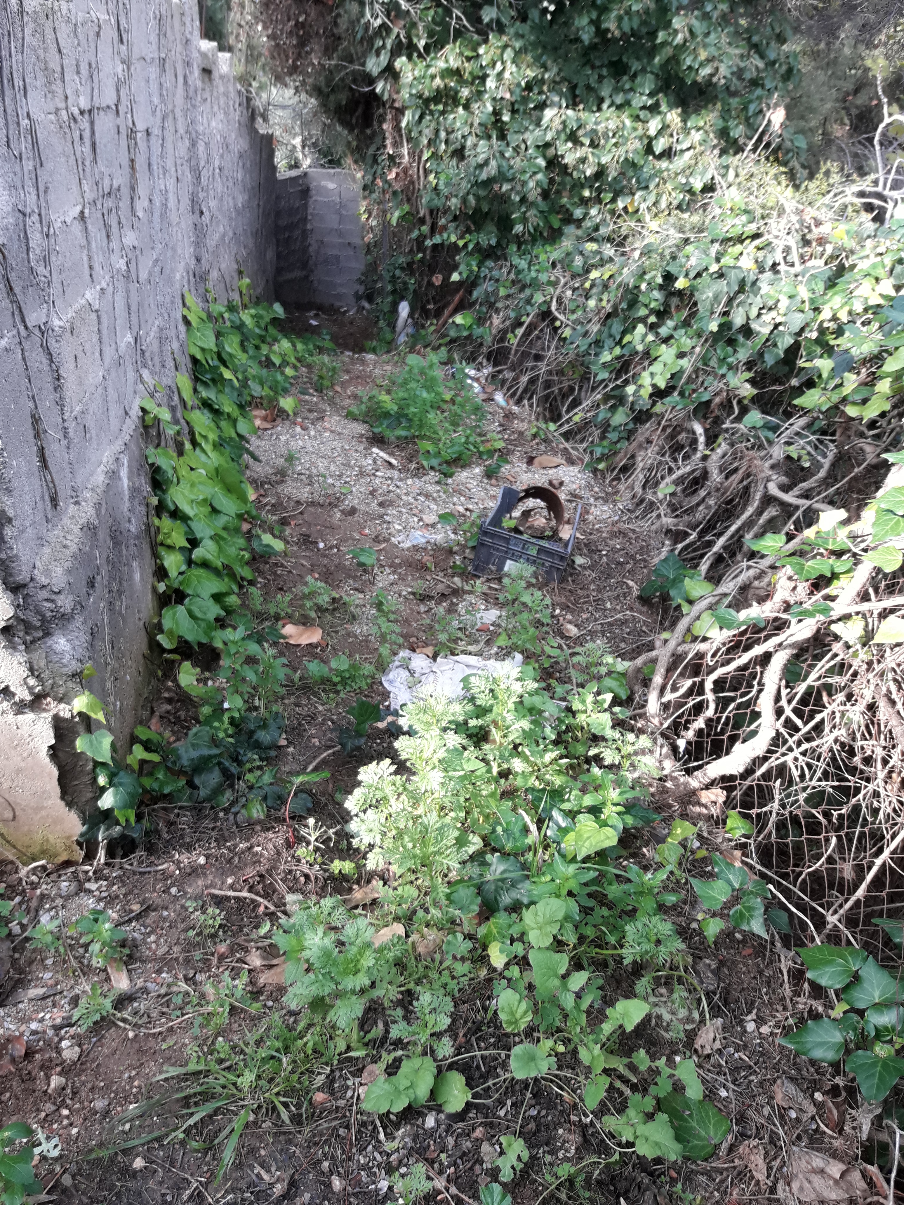 20180107 DIODOS DIONYSOY