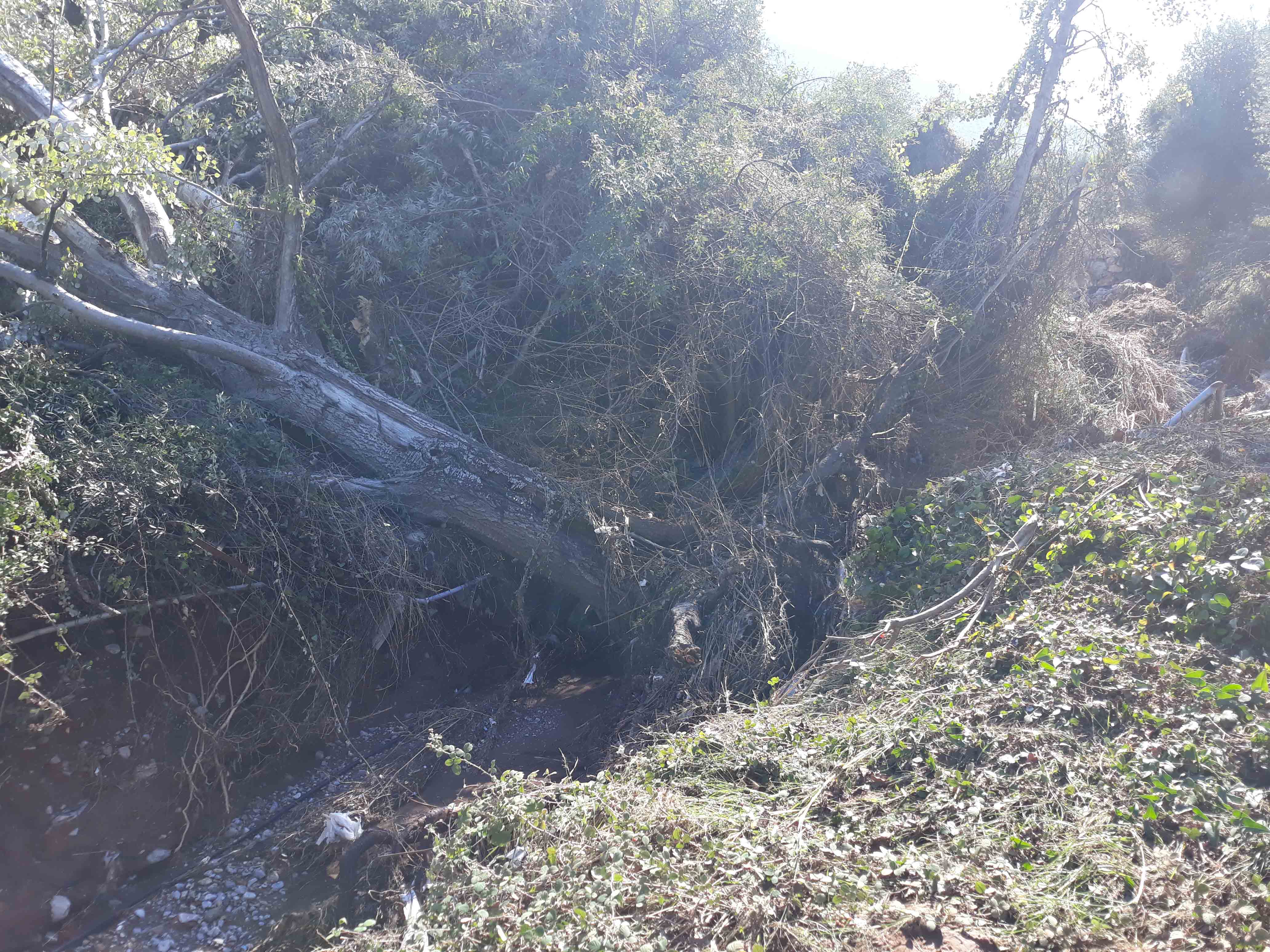 REMATA-PHOTO2